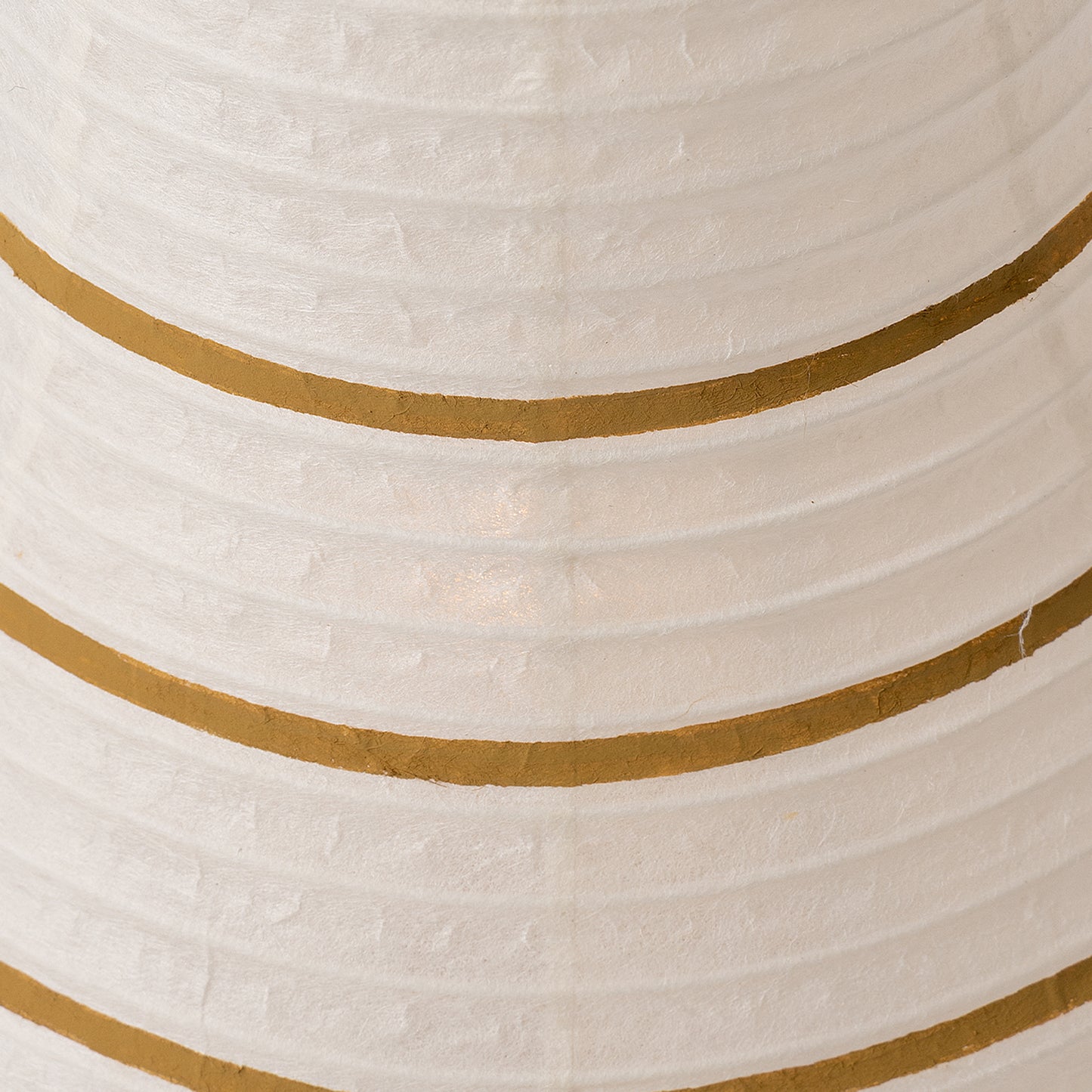 the TORO (予約アイテム)